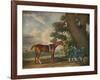 'Eclipse', c18th century-George Stubbs-Framed Giclee Print