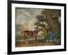 'Eclipse', c18th century-George Stubbs-Framed Giclee Print