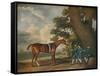 'Eclipse', c18th century-George Stubbs-Framed Stretched Canvas