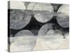 Eclipse Neutral Horizontal Crop-Albena Hristova-Stretched Canvas