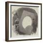 Eclipse of the Sun-null-Framed Giclee Print