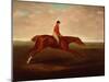 Eclipse ridden by J Oakley, 1771-John Nott Sartorius-Mounted Giclee Print