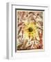 Eclipse-Paul Klee-Framed Premium Giclee Print