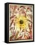 Eclipse-Paul Klee-Framed Stretched Canvas