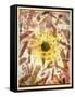 Eclipse-Paul Klee-Framed Stretched Canvas