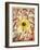 Eclipse-Paul Klee-Framed Giclee Print