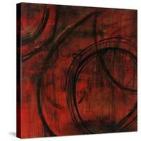 Eclipse-Joshua Schicker-Stretched Canvas