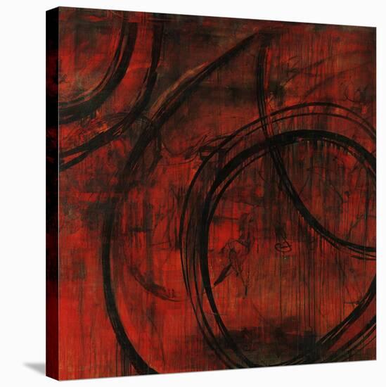 Eclipse-Joshua Schicker-Stretched Canvas