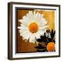 Eclipse-Mindy Sommers-Framed Giclee Print