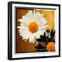 Eclipse-Mindy Sommers-Framed Giclee Print