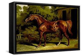 Eclipse-Samuel Sidney-Framed Stretched Canvas