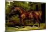 Eclipse-Samuel Sidney-Mounted Art Print