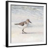 Eclipsed Sandpiper-Denise Brown-Framed Art Print