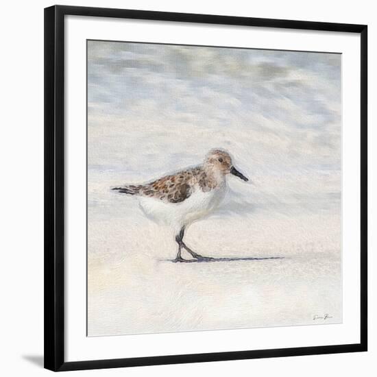 Eclipsed Sandpiper-Denise Brown-Framed Art Print