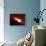 Eclipsing Binary Star System-Chris Butler-Framed Photographic Print displayed on a wall