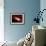 Eclipsing Binary Star System-Chris Butler-Framed Photographic Print displayed on a wall