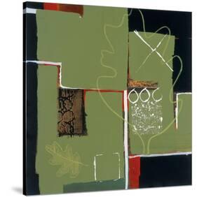 Eco Dream I-Leslie Bernsen-Stretched Canvas