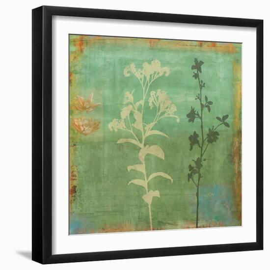 Eco-friendly II-Chris Donovan-Framed Art Print