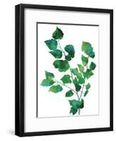 Eco Garden - Birch-null-Framed Giclee Print