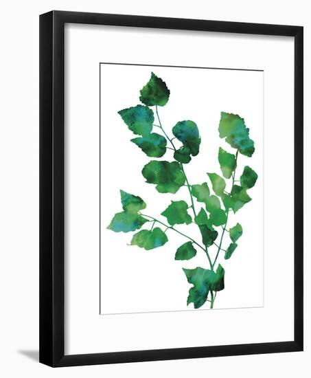 Eco Garden - Birch-null-Framed Giclee Print