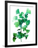 Eco Garden - Ginko-null-Framed Giclee Print