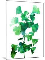 Eco Garden - Ginko-null-Mounted Giclee Print