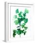 Eco Garden - Ginko-null-Framed Giclee Print