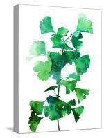 Eco Garden - Ginko-Tania Bello-Stretched Canvas