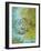 Eco Natural 1-Diane Stimson-Framed Art Print