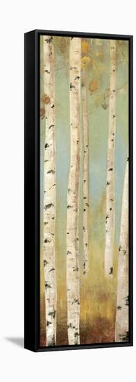 Eco Panel I-Andrew Michaels-Framed Stretched Canvas