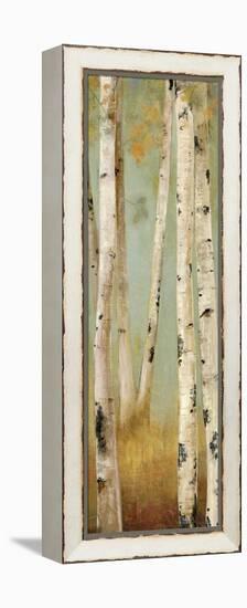 Eco Panel II-Andrew Michaels-Framed Stretched Canvas