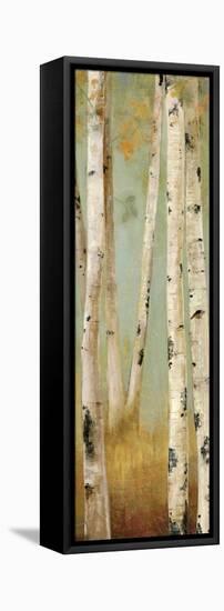 Eco Panel II-Andrew Michaels-Framed Stretched Canvas