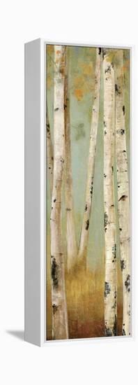 Eco Panel II-Andrew Michaels-Framed Stretched Canvas