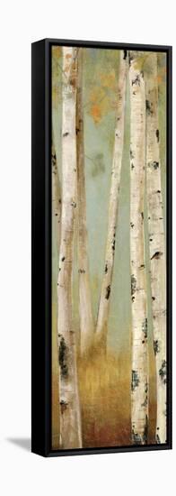 Eco Panel II-Andrew Michaels-Framed Stretched Canvas