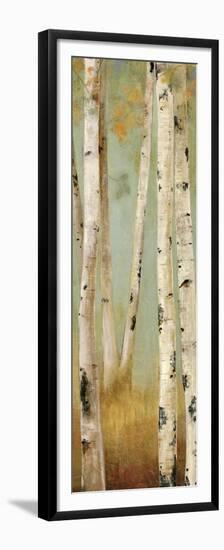 Eco Panel II-Andrew Michaels-Framed Premium Giclee Print