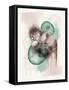 Eco Souls 1-Urban Epiphany-Framed Stretched Canvas