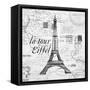 Eco Vintage Paris-Carole Stevens-Framed Stretched Canvas