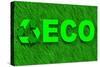 Eco Word over Green Grass-marphotography-Stretched Canvas