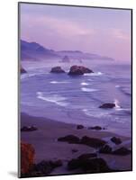 Ecola State Park I-Ike Leahy-Mounted Photographic Print