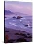 Ecola State Park I-Ike Leahy-Stretched Canvas