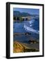 Ecola State Park II-Ike Leahy-Framed Photographic Print