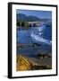 Ecola State Park II-Ike Leahy-Framed Photographic Print