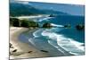 Ecola State Park III-Ike Leahy-Mounted Photographic Print