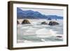 Ecola State Park, Oregon, USA. Sea stacks and surf at Ecola State Park on the Oregon coast.-Emily Wilson-Framed Photographic Print