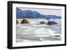 Ecola State Park, Oregon, USA. Sea stacks and surf at Ecola State Park on the Oregon coast.-Emily Wilson-Framed Photographic Print