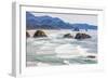 Ecola State Park, Oregon, USA. Sea stacks and surf at Ecola State Park on the Oregon coast.-Emily Wilson-Framed Photographic Print