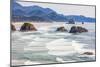 Ecola State Park, Oregon, USA. Sea stacks and surf at Ecola State Park on the Oregon coast.-Emily Wilson-Mounted Photographic Print