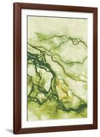 Ecology I-Peter Adams-Framed Giclee Print