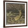 Ecritoire (suzuribako)-null-Framed Giclee Print