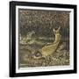 Ecritoire (suzuribako)-null-Framed Giclee Print